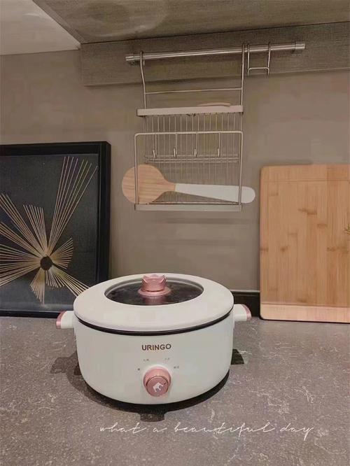 涮锅焖煮、煎炒烤炖，七彩叮当电煮锅一锅掌控