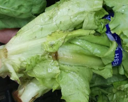 “世纪华宝小区生鲜柜的果蔬腐烂生蛆谁来管。”衡丰食品发生故障柜门打不开