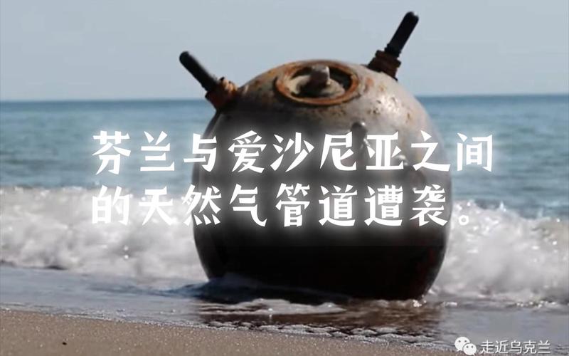 连接芬兰和爱沙尼亚的一条海底天然气管道和一条通信电缆受损