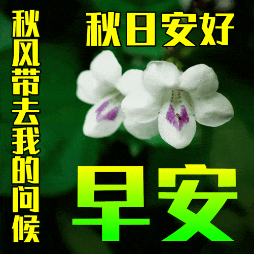 秋天早安最新图片表情包大全,秋天早上好问候语唯美 家电资讯