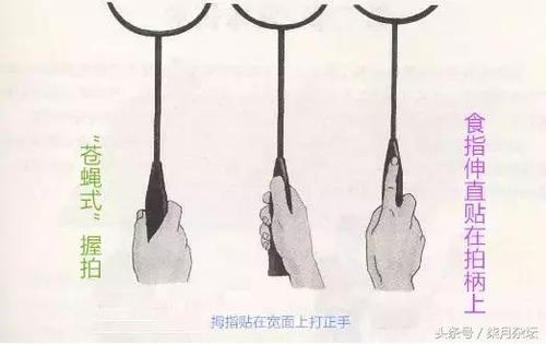 谁是苍蝇拍握法的运动员。