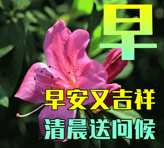 今日新颖脱俗的早上好问候句子图片表情大全，秋风生凉意，祝福暖人心。