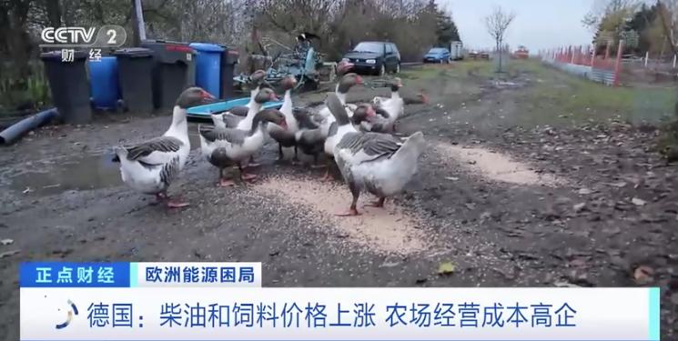 能源价格高企，德国部分民众回归壁炉取暖