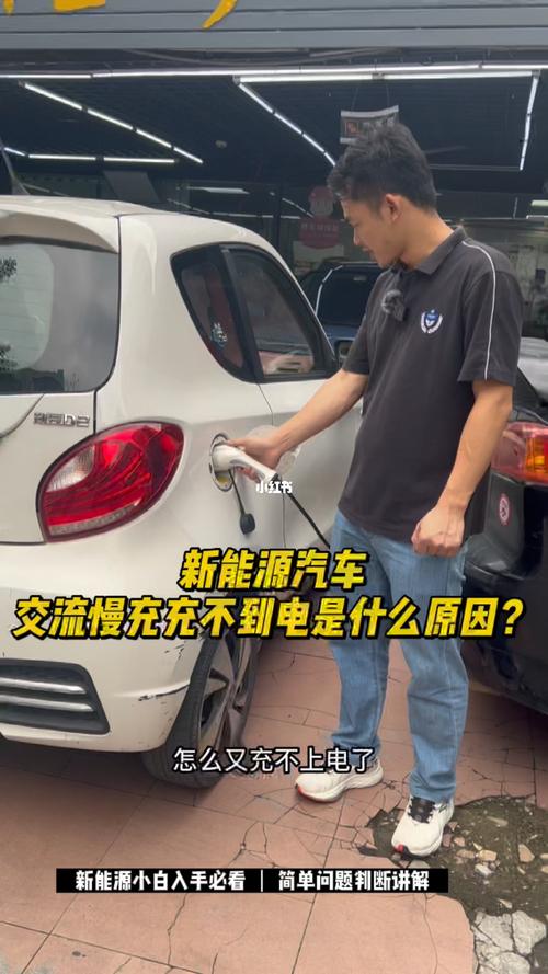 当电动汽车充不进去电，是怎么回事呢。