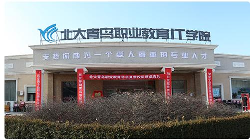 北大青鸟电脑学校哪家好。芜湖北大青鸟计算机培训
