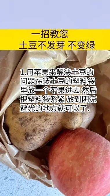 秋季储存土豆，如何防止变质发芽。教你2招，久放不发芽，很新鲜
