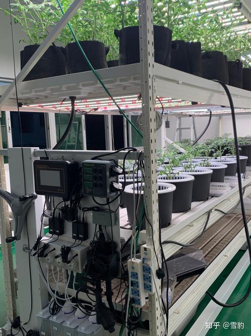 干货丨液驱增压泵的故障可溯性策略