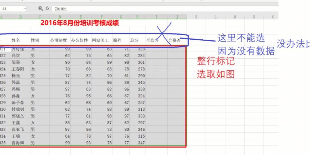 “行添加”表格分析总结