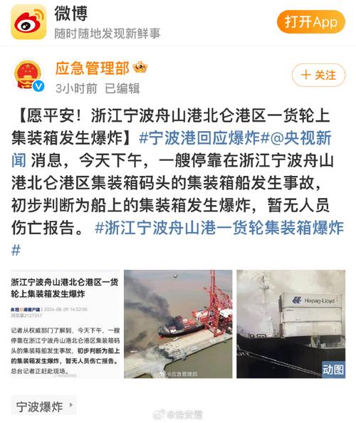 宁波货轮集装箱爆炸货轮信息被曝光，疑似危险品放冷冻柜忘插电