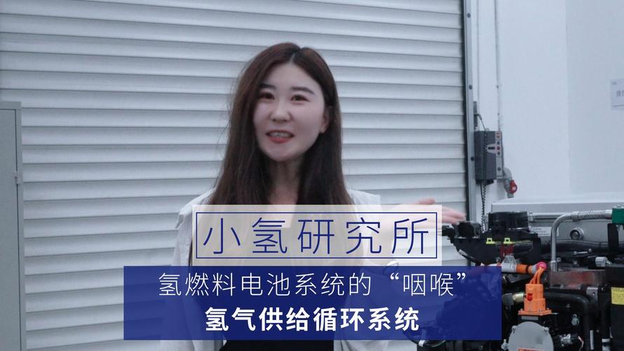 干货丨燃料电池汽车故障诊断研究