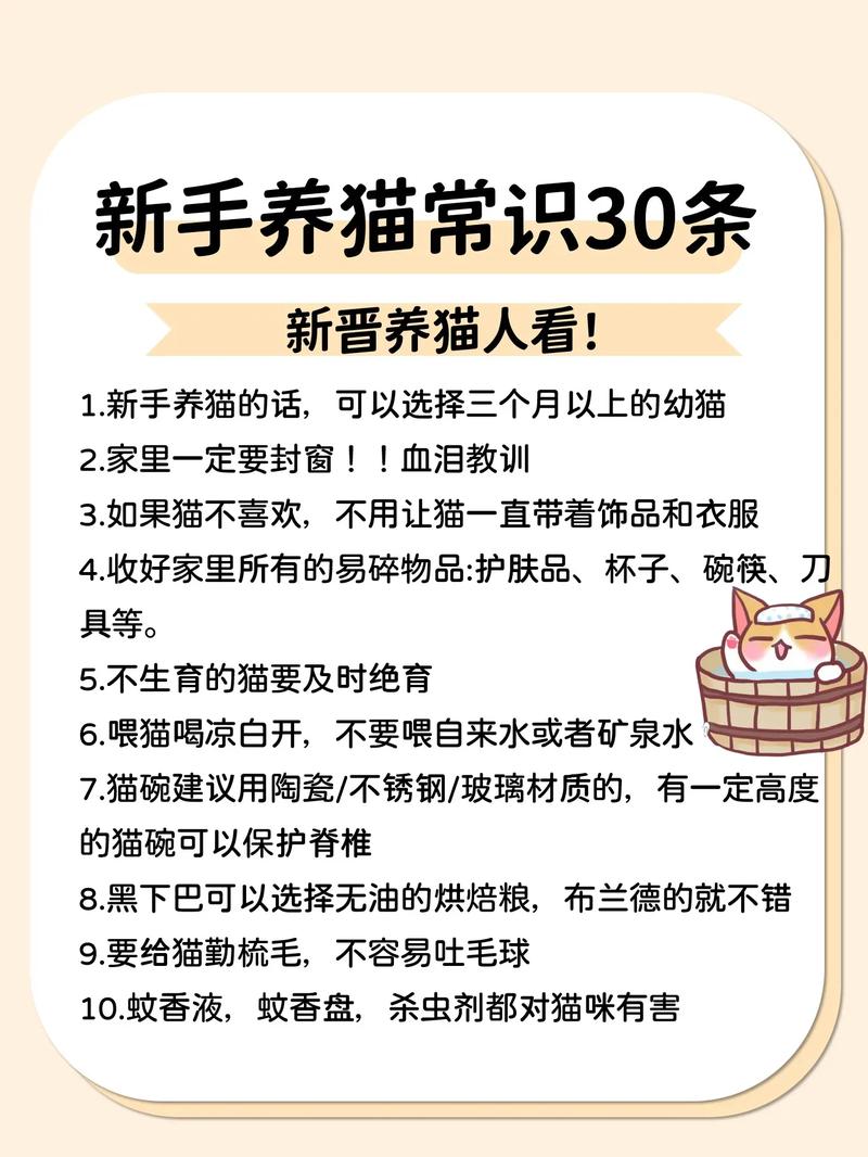 理解猫咪的世界如何养猫。