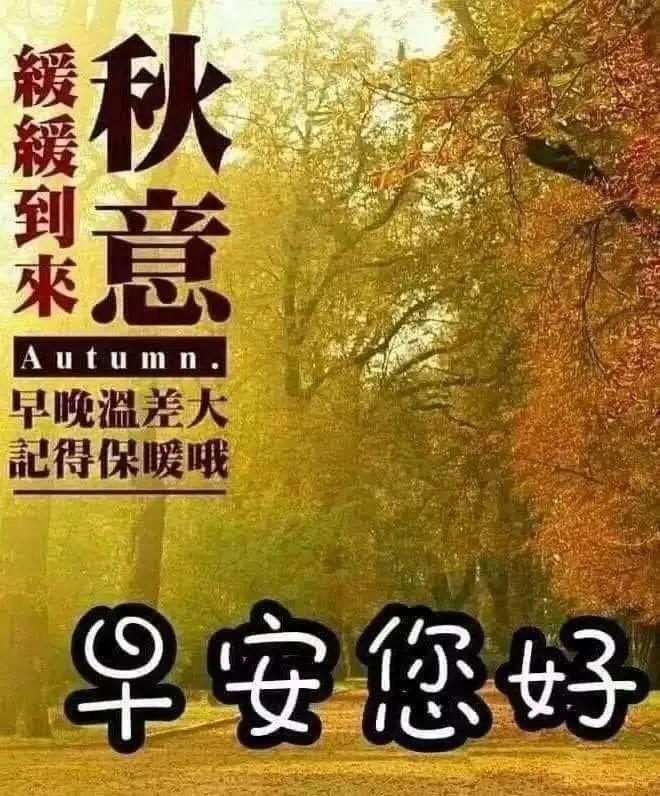 秋天新出的适合微信群发早上好图片精选，早上好问候句子加表情大全。