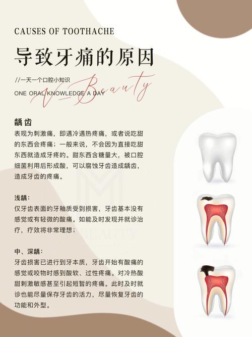 牙疼为什么总发生在夜晚。