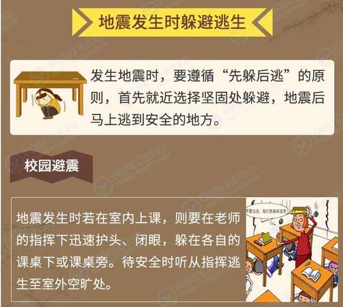 校园避震|地震来了怎么办