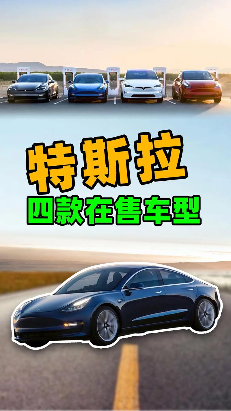 什么人会买特斯拉。