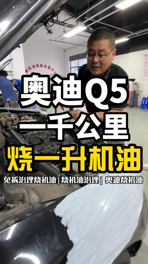 解决奥迪Q5烧机油应该怎么做，机油保养到底有多重要