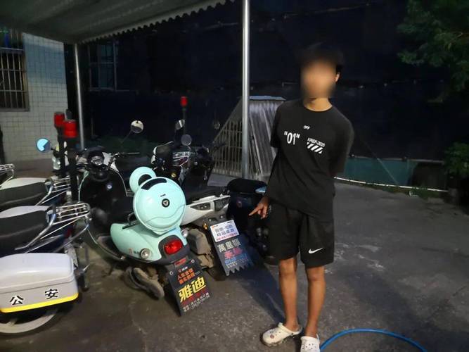 洛宁县侦破系列盗窃五羊小公主摩托车案，抓获盗窃嫌疑人10名
