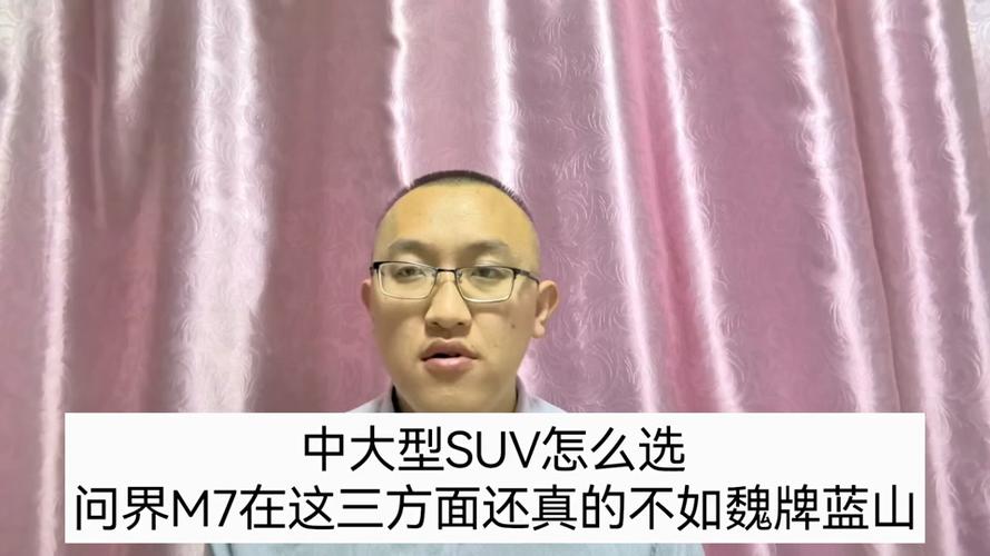 拳打理想L8，脚踢问界M7，魏牌蓝山真有那么强。