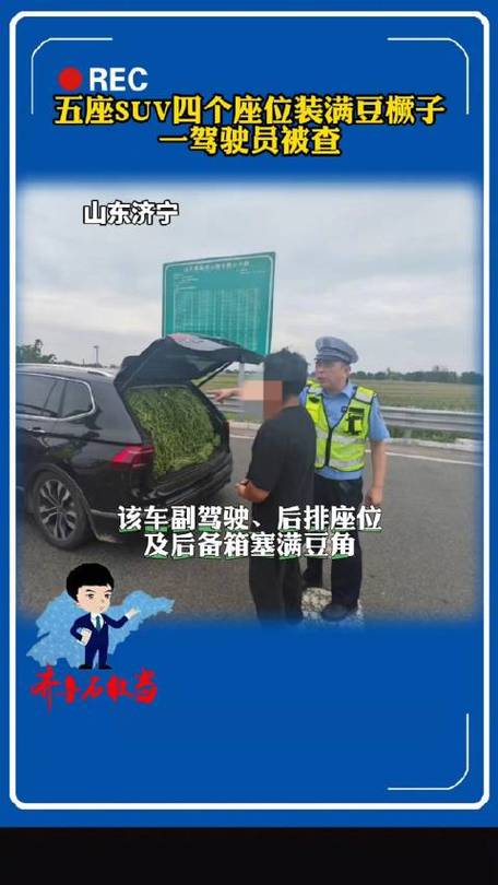 打开汽车车门，交警都惊了因为豆橛子，一驾驶员被罚