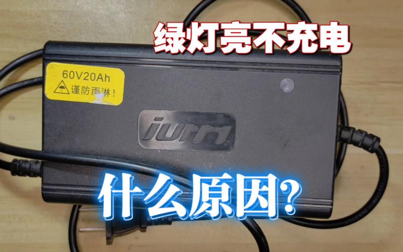 电动车充电器指示灯变绿后，应该立刻拔下电源插头吗。做错伤电池