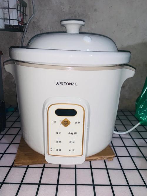 天际电炖锅b1是什么故障