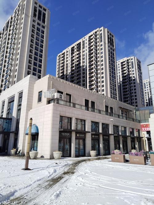 万科壹都会：匠心独运，打造现代都市精英生活典范