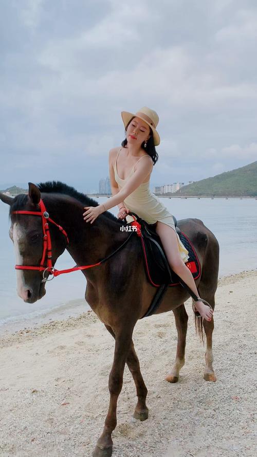 三亚骑马室内装修：打造梦幻骑乘体验的艺术空间