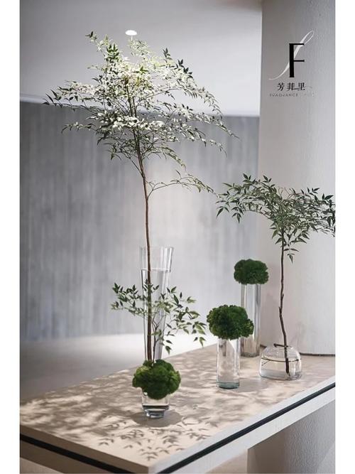 光影交织的艺术殿堂_探秘摄影室装修的艺术美学