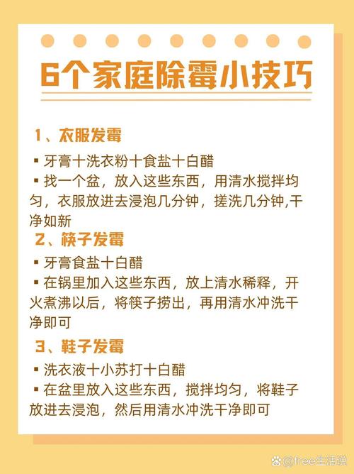 冬季室内装修除味攻略：温馨家居从“净”开始