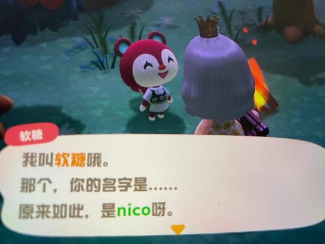 动森彼得室内装修：打造温馨家园的艺术之旅