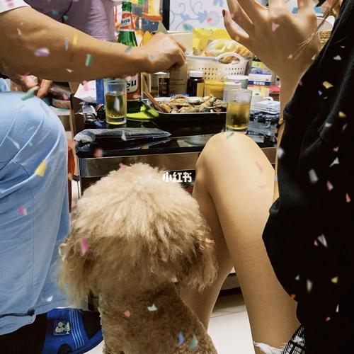 品味犬意，装修狗肉馆：一场文化碰撞的视觉盛宴