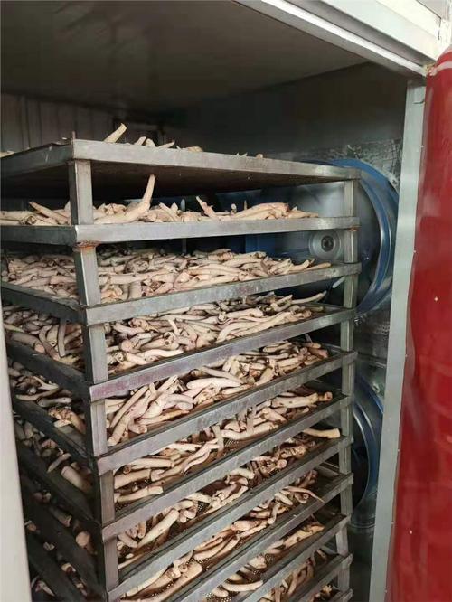 云南空气能烘干技术在白术烘干中的应用与优势_云南空气能烘干白术