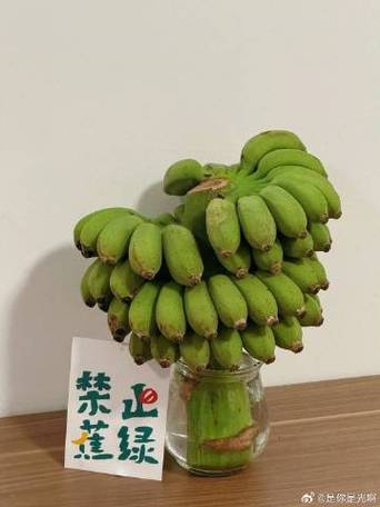 介绍光腾空气能,科技赋能绿色未来_光腾空气能拆解