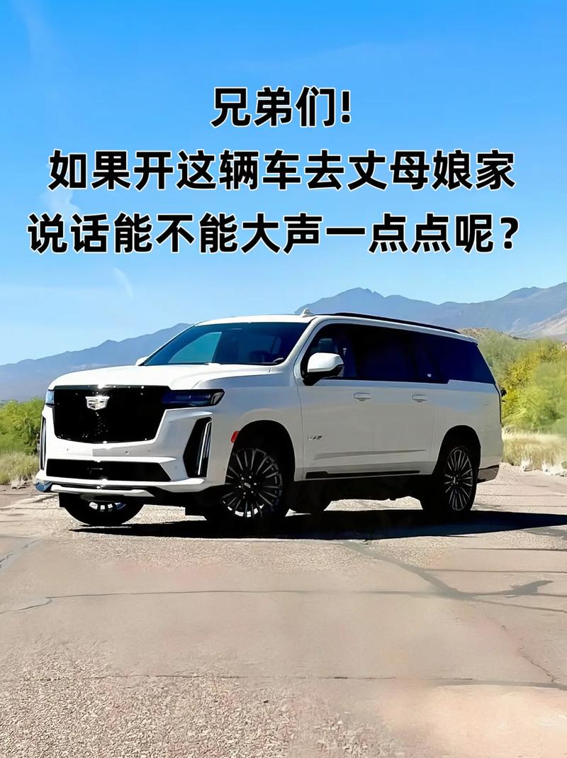 丈母娘家的座驾,安全、舒适与尊贵的完美结合_推荐几款适合丈母娘的车型