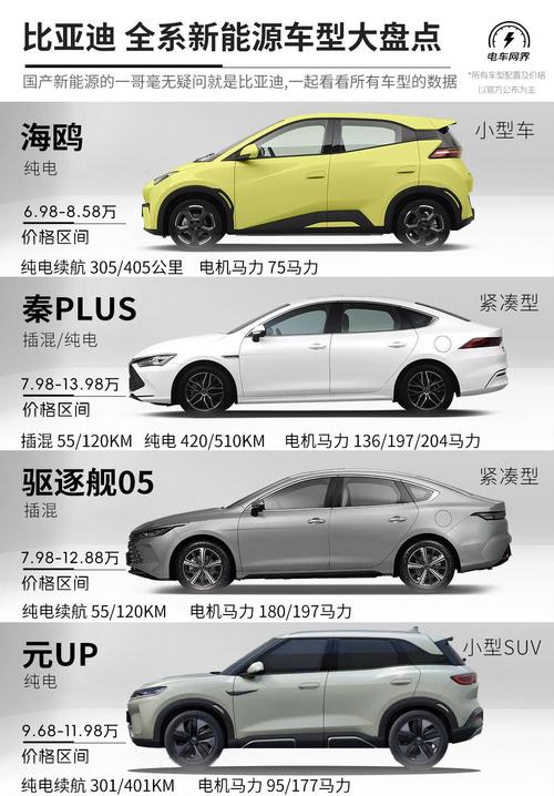 比亚车型简称介绍,介绍比亚迪电动汽车的非凡魅力