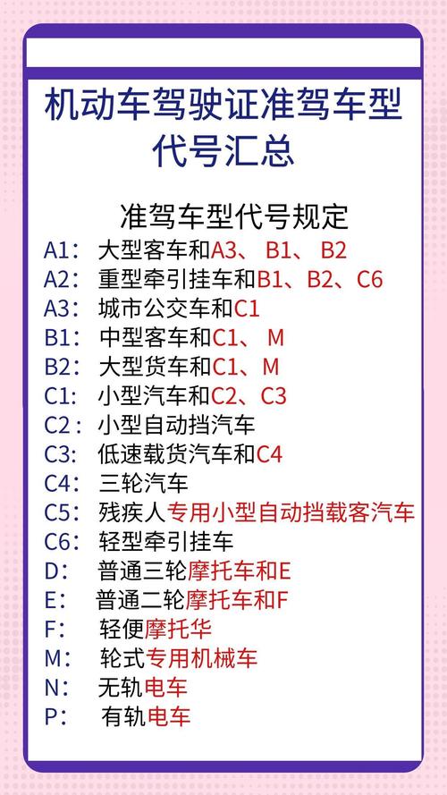 解码汽车世界,车型代号与准驾车型分析